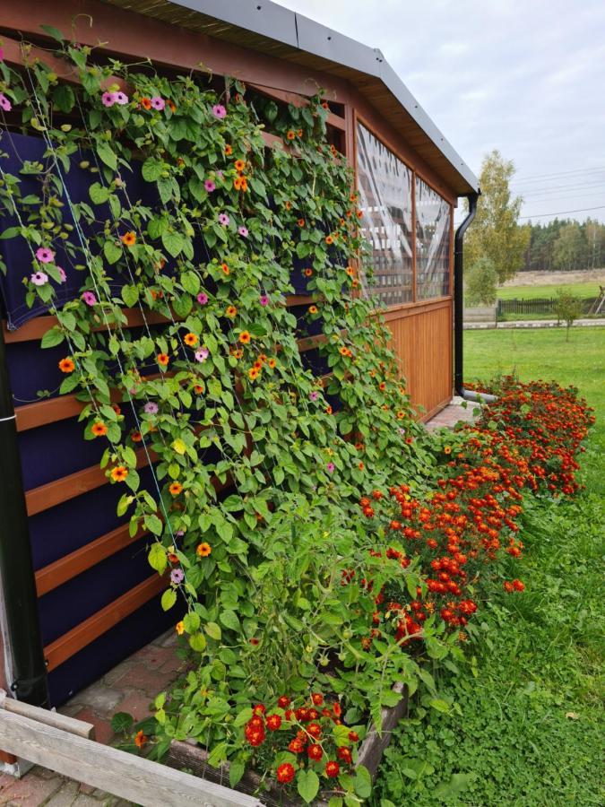 Rodzinny Apartament Na Kaszubach Brusy Exteriér fotografie